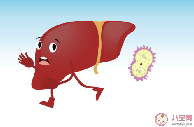 2021年世界肝炎日宣傳主題是什么 關(guān)于肝炎的相關(guān)知識(shí)科普
