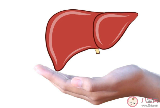 2021年世界肝炎日宣傳主題是什么 關(guān)于肝炎的相關(guān)知識(shí)科普