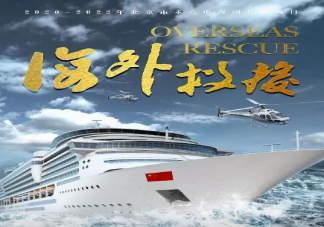《海外救援》是根據(jù)真實(shí)事件改編嗎 《海外救援》講述了什么故事
