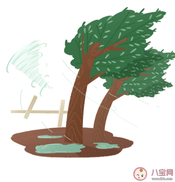 臺風天氣避險指南思維導圖 身處臺風登陸地應該做什么