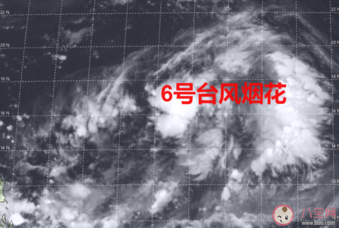 臺風煙花會被除名嗎 臺風煙花名字是怎么來的