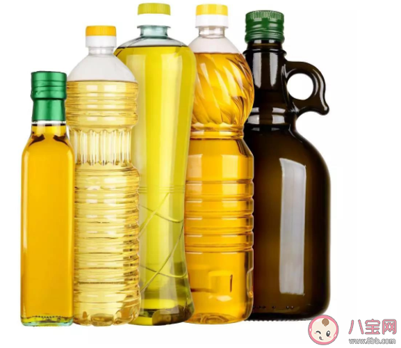 買油買大桶還是小桶好 常見食用油怎么選購