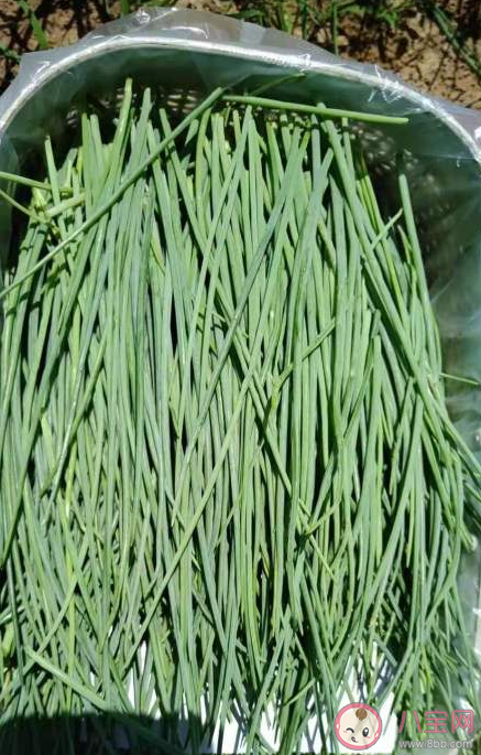 沙蔥50元一斤貴在哪里 沙蔥好吃嗎味道怎么樣