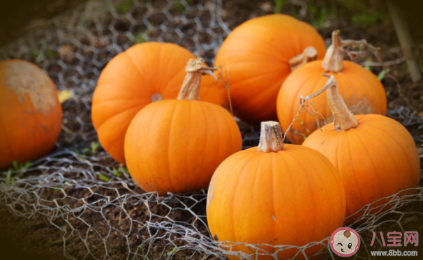 血糖高吃什么蔬菜好 血糖高注意哪些飲食