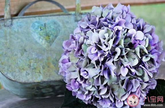 感情中沒有安全感該怎么辦 缺乏安全感如何緩解