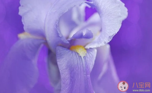 感情中沒有安全感該怎么辦 缺乏安全感如何緩解