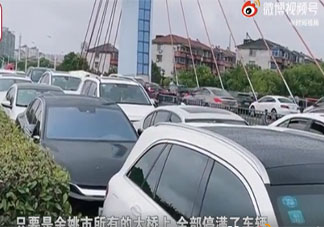 寧波市民將車停高架橋上防止被淹可行嗎 高架橋能夠承載這么多的車嗎