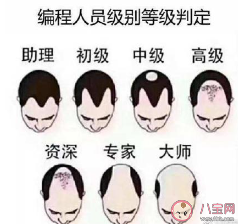 計算機(jī)行業(yè)的薪資真的很高嗎 什么行業(yè)的薪資比較高