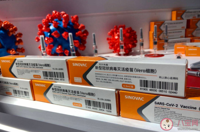 科興疫苗第三針數(shù)據(jù)結(jié)果怎么樣 ?科興疫苗要打第三針加強(qiáng)針嗎