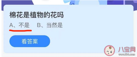 螞蟻莊園棉花是植物的花嗎 7月29日答案解析