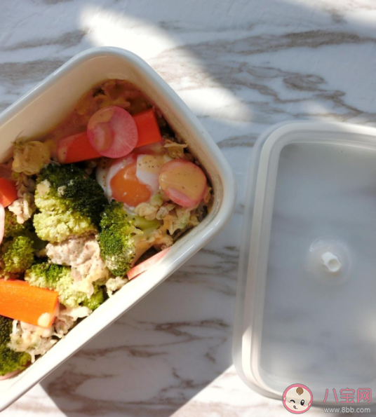 上班族怎么帶飯比較健康 冰箱保存新鮮飯菜的小技巧