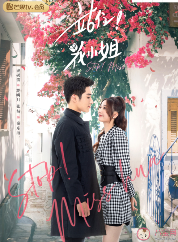 《站住花小姐》是根據小說改編的嗎 《站住花小姐》講述了什么故事