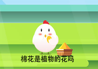 棉花是植物的花嗎 螞蟻莊園7月29日答案