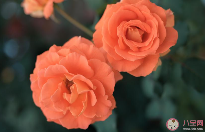 女生為什么一直試探自己的男朋友 女朋友總是試探我怎么辦