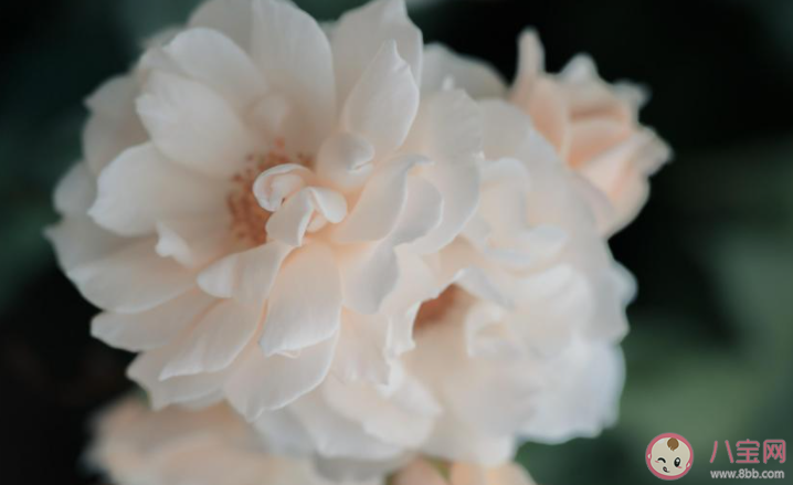 女生為什么一直試探自己的男朋友 女朋友總是試探我怎么辦