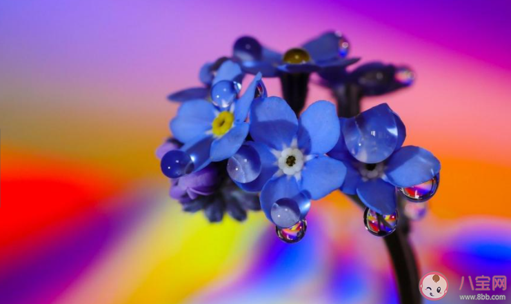 女生為什么一直試探自己的男朋友 女朋友總是試探我怎么辦