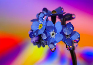 女生為什么一直試探自己的男朋友 女朋友總是試探我怎么辦