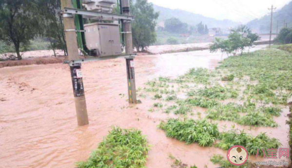 洪災后豬肉蔬菜會漲價嗎 洪災對糧食的影響有多大 洪災后豬肉蔬菜會漲價嗎 洪災對糧食的影響有多大