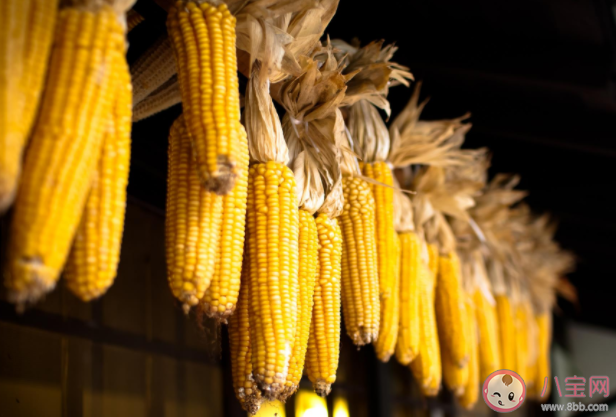 洪災后豬肉蔬菜會漲價嗎 洪災對糧食的影響有多大 洪災后豬肉蔬菜會漲價嗎 洪災對糧食的影響有多大