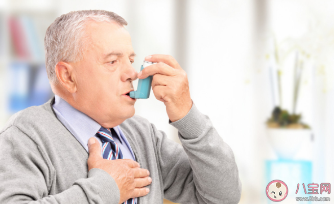 養貓更容易得哮喘嗎 有哮喘可以養貓嗎