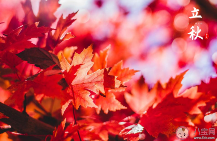 立秋了的朋友圈心情配文 今日立秋的感慨句子大全