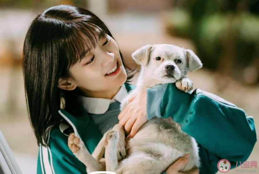 《循環初戀》原著小說是什么 《循環初戀》人物關系圖介紹