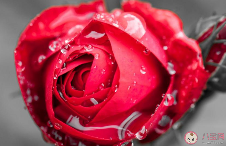 第一次過七夕說什么話 第一次過七夕發朋友圈句子