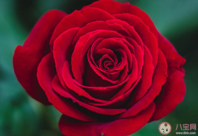 第一次過七夕說什么話 第一次過七夕發朋友圈句子