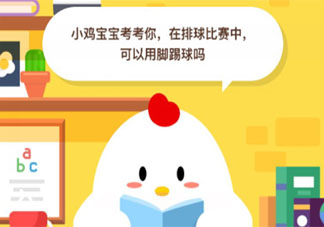 在排球比賽中可以用腳踢球嗎 螞蟻莊園8月4日小課堂答案