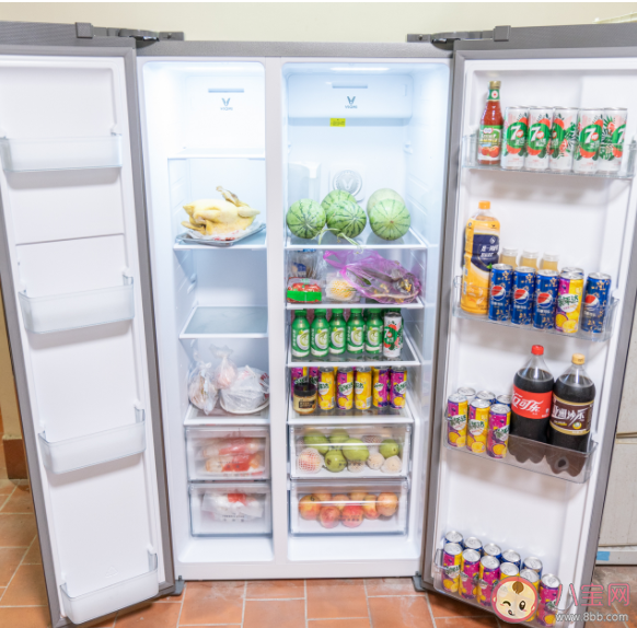有霜冰箱和無霜冰箱有什么區別 有霜冰箱無霜冰箱怎么選購