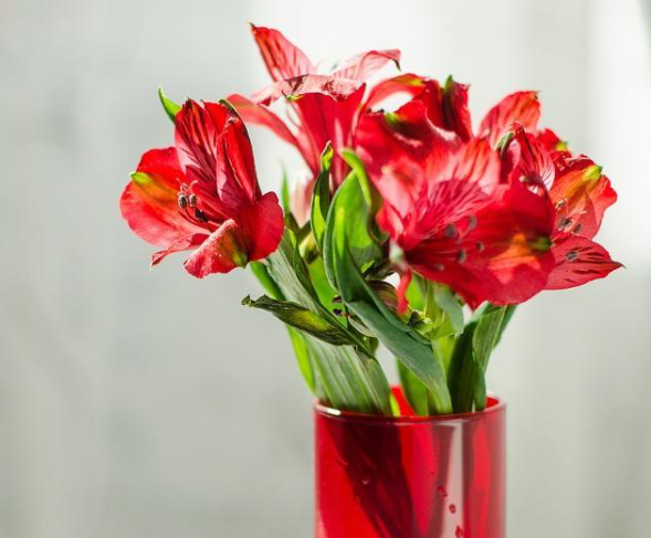 該不該幫朋友隱瞞病史 人情重要還是人品重要