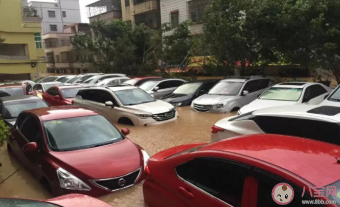 泡水車或流向二手市場(chǎng) 怎么避免買到泡水車