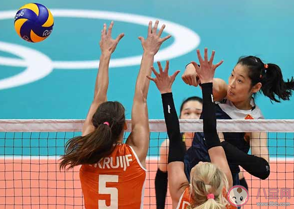 男子排球和女子排球的球網一樣高嗎 螞蟻莊園8月6日答案