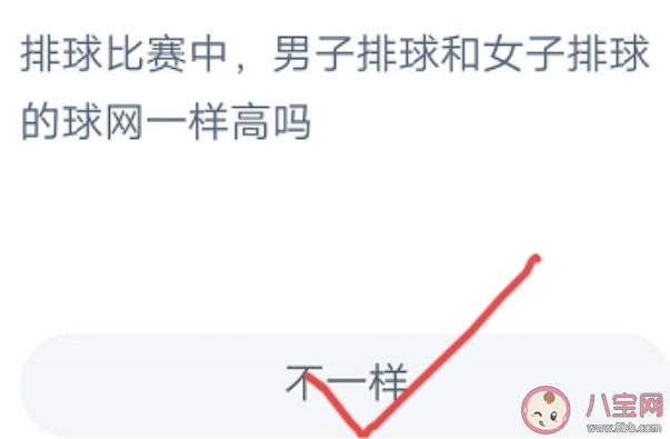 男子排球和女子排球的球網一樣高嗎 螞蟻莊園8月6日答案