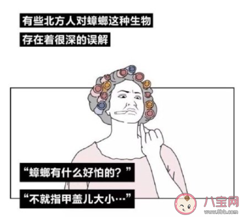 在南方上大學是什么體驗 在南方上大學你最大的感受是什么