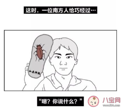 在南方上大學是什么體驗 在南方上大學你最大的感受是什么