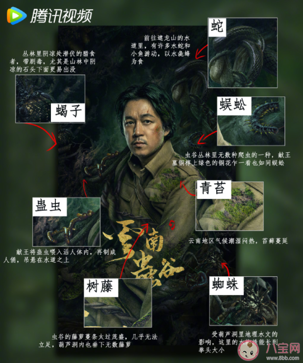 《云南蟲谷》定檔8月底播出嗎 《云南蟲谷》小說講的是什么