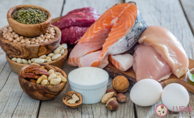 優質蛋白食物有哪些 多攝取優質蛋白對健康有哪些好處 優質蛋白食物有哪些 多攝取優質蛋白對健康有哪些好處