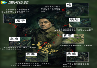 《云南蟲谷》是鬼吹燈系列的哪一部 《云南蟲谷》刪減得多嗎