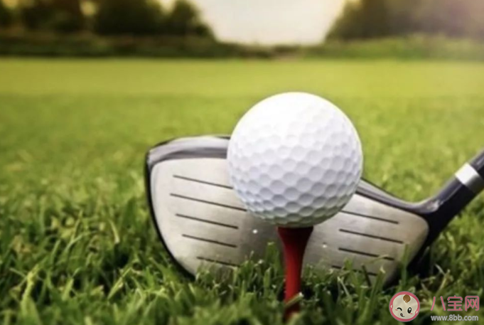 高爾夫球上為什么有小坑 螞蟻莊園8月10日問題答案 高爾夫球上為什么有小坑 螞蟻莊園8月10日問題答案