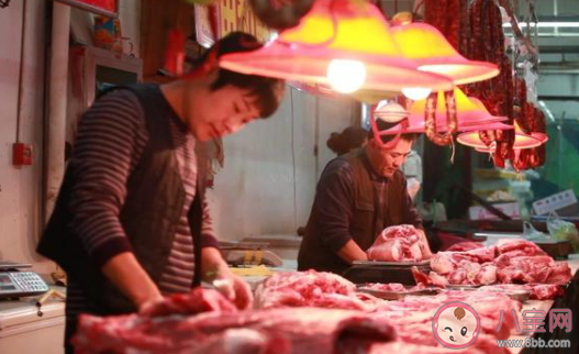 豬肉價格下降43.5%是什么原因 豬肉價格為什么一直走低 豬肉價格下降43.5%是什么原因 豬肉價格為什么一直走低