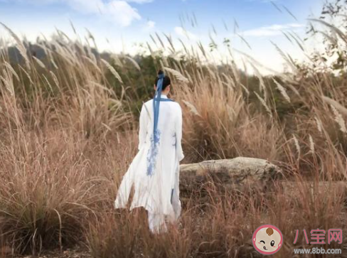 找一找下列哪個成語用對了 螞蟻莊園8月11日答案介紹 找一找下列哪個成語用對了 螞蟻莊園8月11日答案介紹