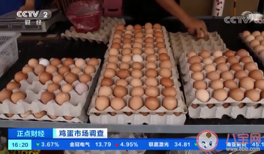 雞蛋批發價一斤漲一元 雞蛋為什么漲價了 雞蛋批發價一斤漲一元 雞蛋為什么漲價了