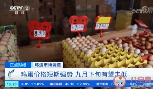 雞蛋批發價一斤漲一元 雞蛋為什么漲價了 雞蛋批發價一斤漲一元 雞蛋為什么漲價了
