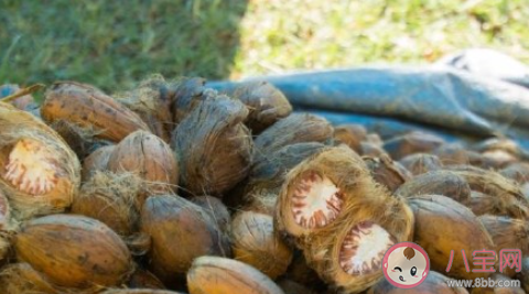 長期嚼檳榔有哪些危害 為什么有人喜歡吃檳榔 長期嚼檳榔有哪些危害 為什么有人喜歡吃檳榔