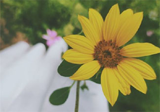 入秋的感覺入秋的心情句子 入秋了一句話感受說說