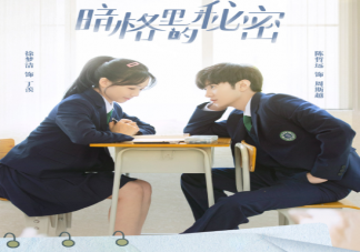 《暗格里的秘密》講述了什么故事 丁羨周斯越是雙向暗戀嗎