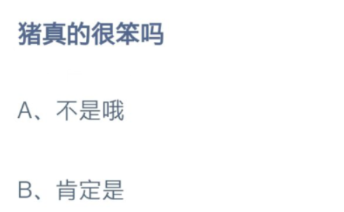 豬真的很笨嗎 螞蟻莊園8月12日答案 豬真的很笨嗎 螞蟻莊園8月12日答案