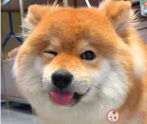 如何解決生活焦慮 太焦慮了該怎么辦 如何解決生活焦慮 太焦慮了該怎么辦