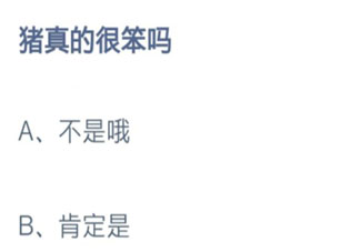 豬真的很笨嗎 螞蟻莊園8月12日答案